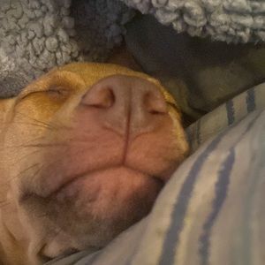 Nice to meet you, I’m Bunny.